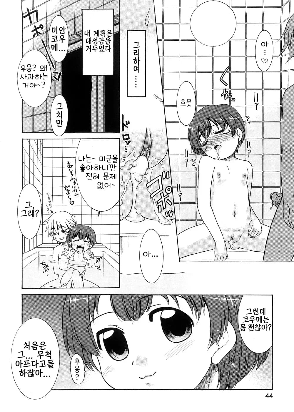 ページ 43