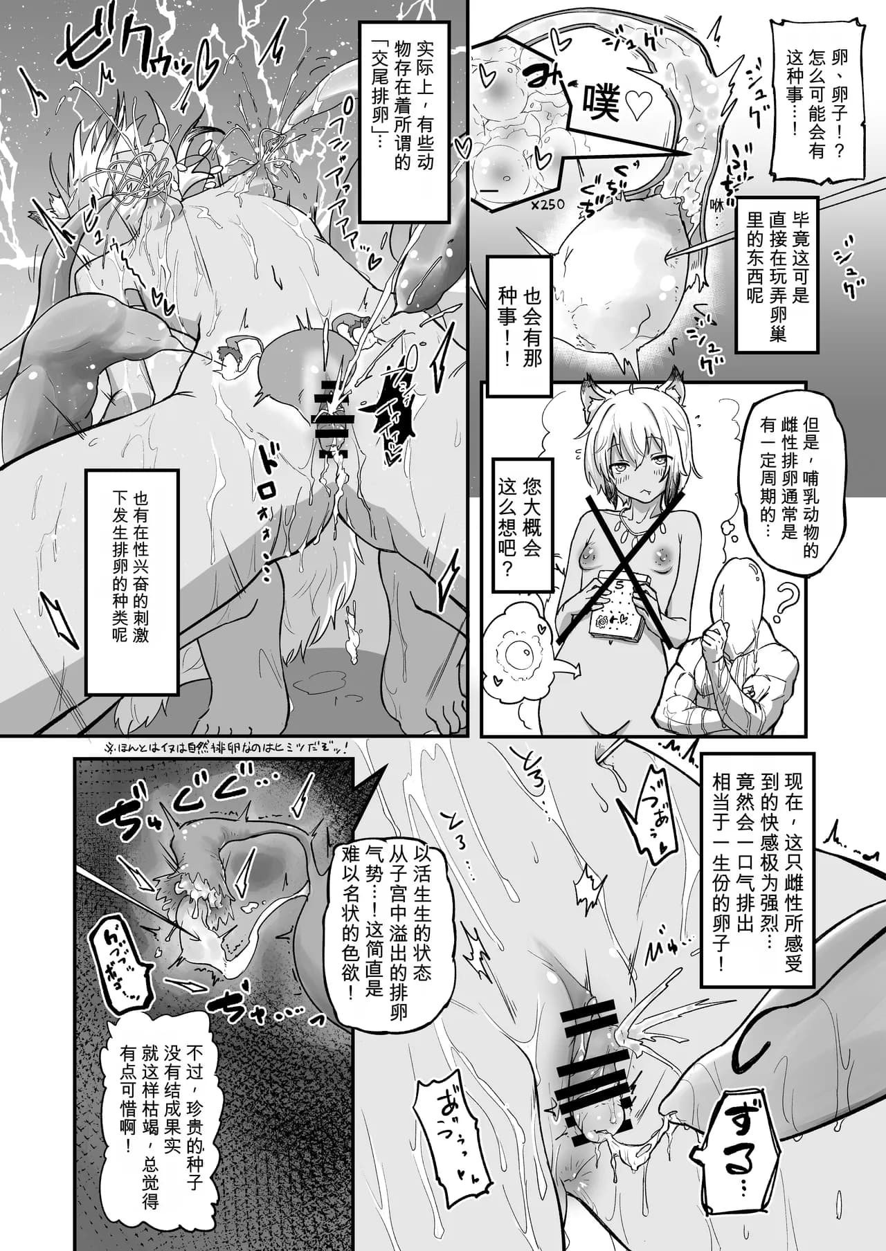 ページ 13
