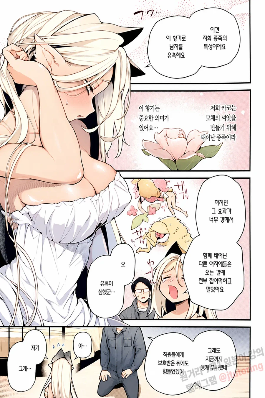 Extinction Crisis Avoidance File: The Case of Kamiki's Fruit Child