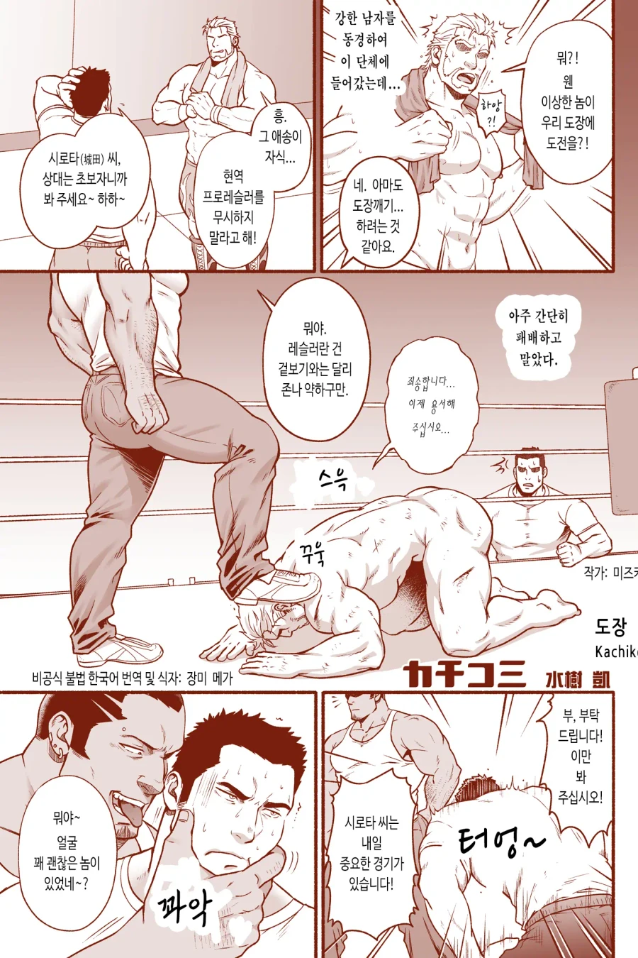 Kachikomi